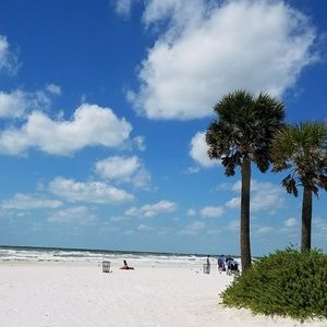 Meet your Posher, Joyce